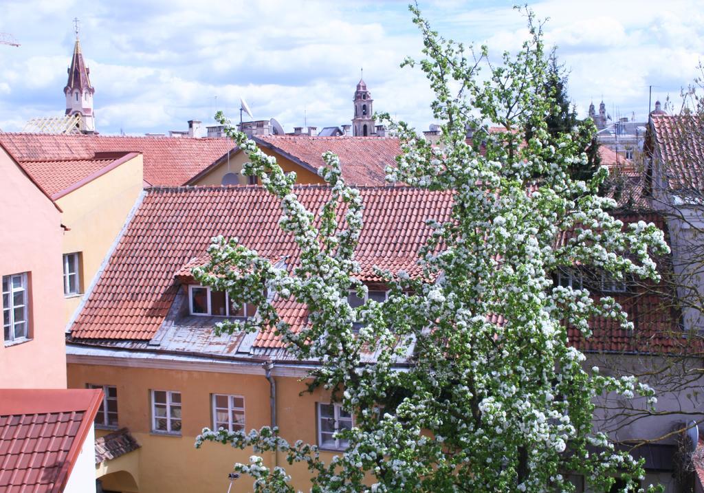 Old Town Apartment Antokolskio Vilna Exterior foto