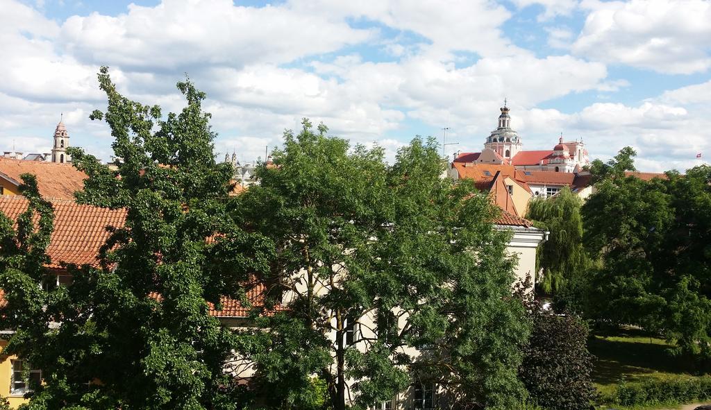 Old Town Apartment Antokolskio Vilna Exterior foto